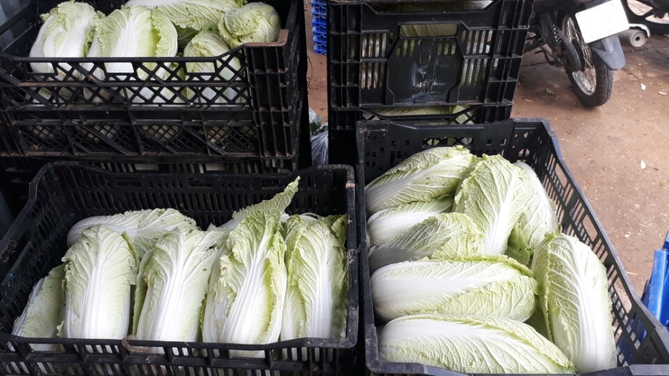 Do khan hiếm hàng đẩy giá các loại rau tăng cao kỷ lục