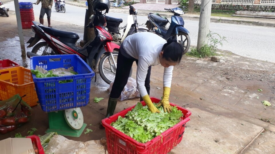 Thủ phủ rau Lâm Đồng đang khan hiếm rau trầm trọng