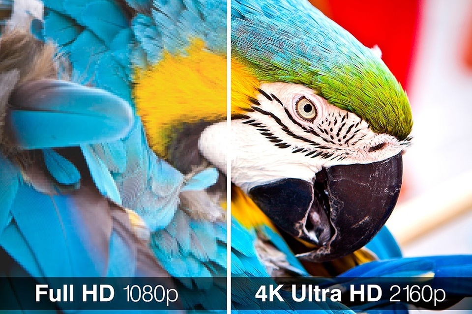 Cần cân nhắc những gì khi mua TV 4K - 1
TV 4K Ultra HD cho độ nét gấp 4 lần so với Full HD. (Ảnh minh họa: TVZeal)