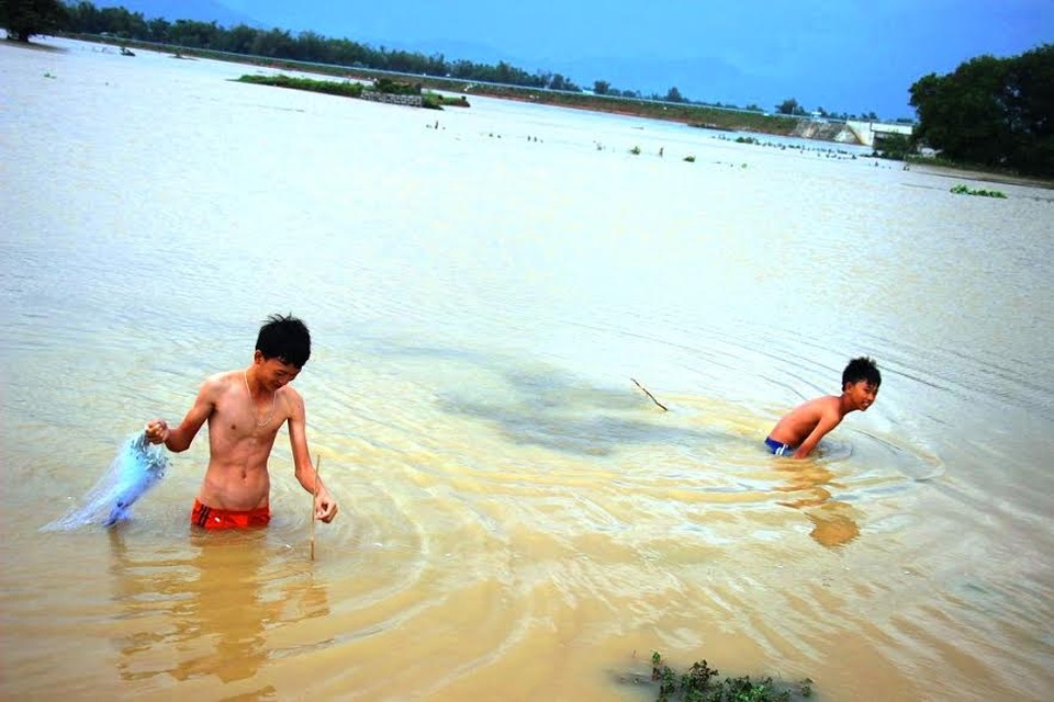 Mai Tết dính đầy bao ni lông sau lũ, nông dân khóc ròng - 8
Những chậu mai trôi đi sau lũ, trẻ em tận dụng khoảnh nước ngập để thả cá