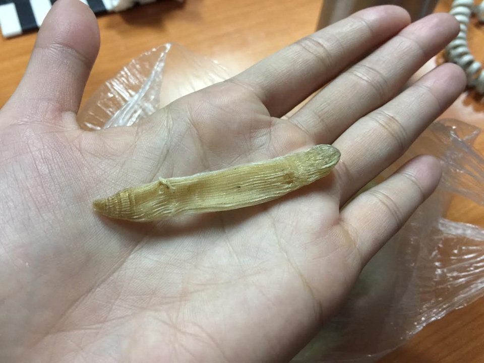 Mì chính nhà giàu: Gia vị "vàng ròng" 5 triệu đồng/kg - 2
Hiện nay sá sùng được coi như loại mì chính nhà giàu vì có giá khá đắt đỏ