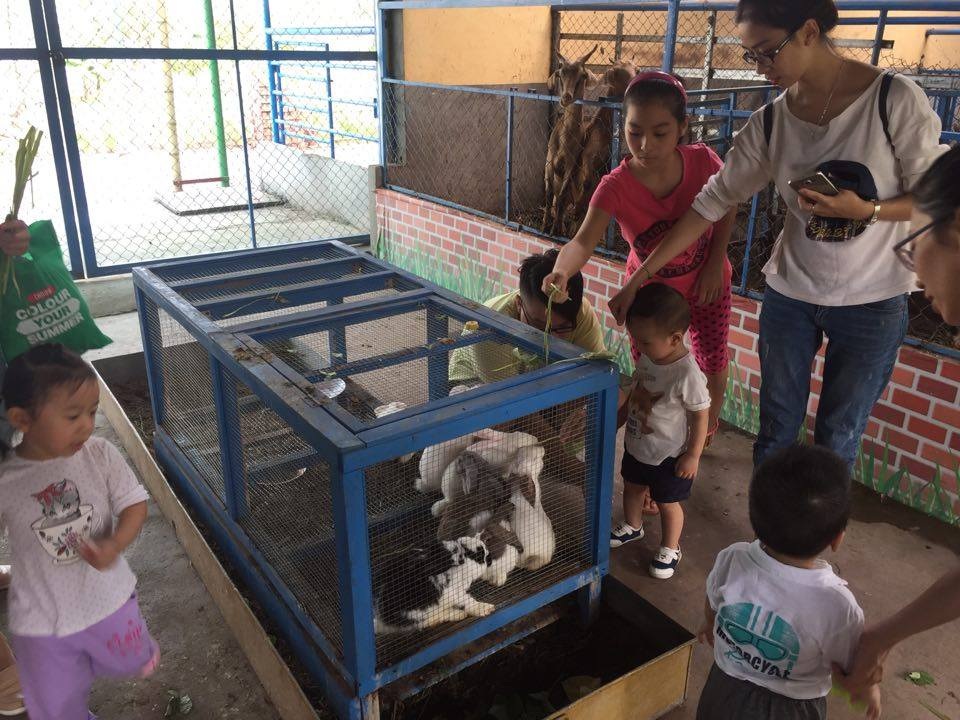 Nở rộ các mô hình làm rau sạch - 1
Ở trang trại giáo dục Erahouse, trẻ em rất thích thú vừa được chơi, vừa được học