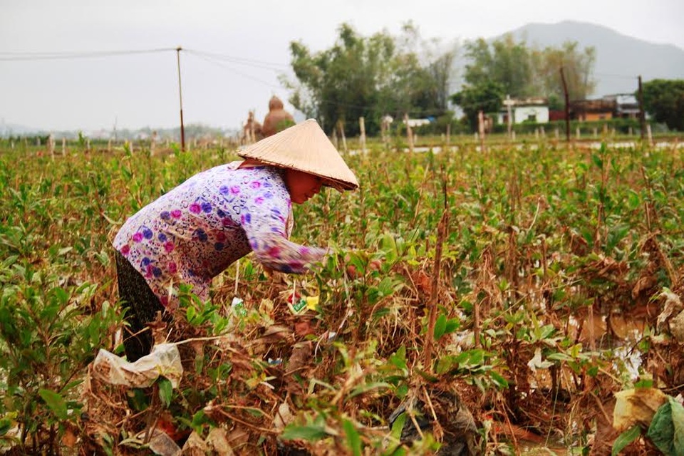 Mai Tết dính đầy bao ni lông sau lũ, nông dân khóc ròng - 15
Lũ chồng lũ, người dân làng mai Nhơn An phơi quần áo ngoài trời, phải có mái che ni lông.