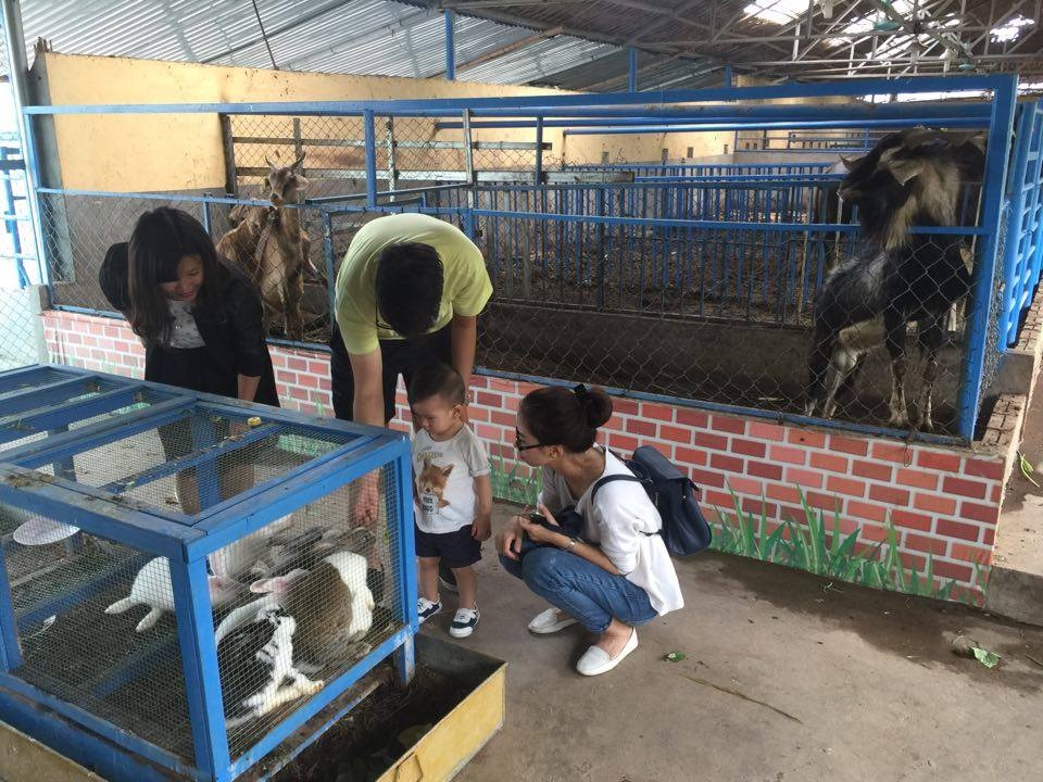Nở rộ các mô hình làm rau sạch - 3
Nhiều gia đình Hà Nội cuối tuần đưa trẻ đến đây như một điểm du lịch kết hợp với giáo dục khá hấp dẫn