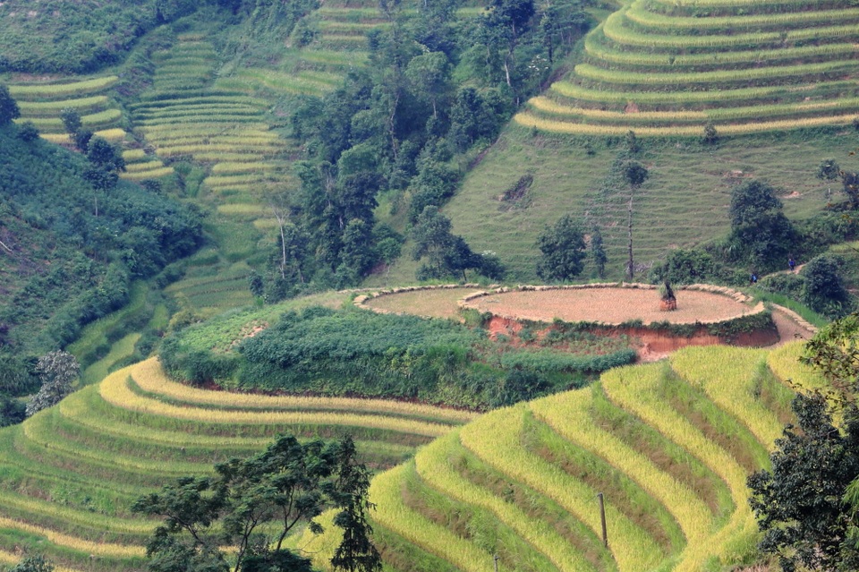 Khám phá mùa vàng Tây Bắc - 8 Khám phá mùa vàng Tây Bắc - 8