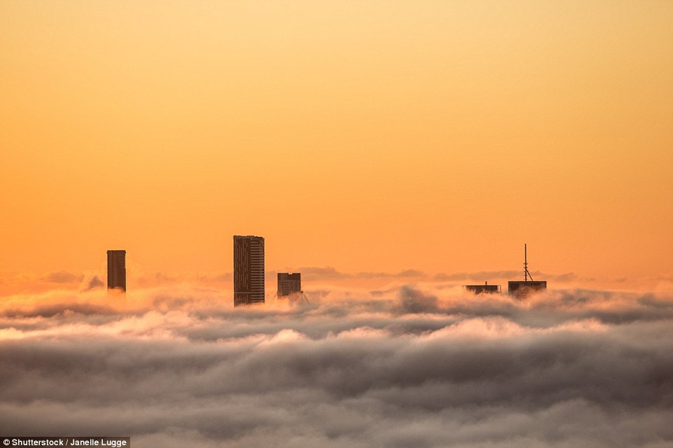 Sương mù lẫn cùng ánh bình minh buổi sớm ở Brisbane.