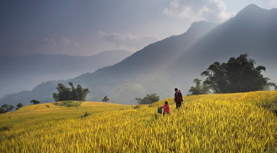 Khám phá mùa vàng Tây Bắc - 13 Theo bố đến trường trong nắng mai (xã Tả Sử Choóng, Hoàng Su Phì).