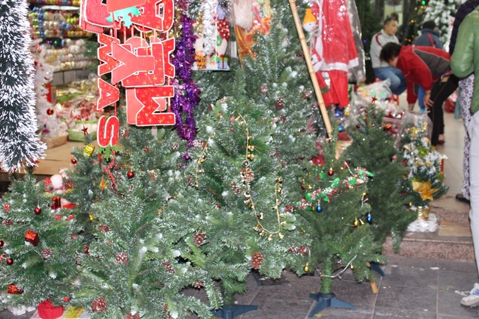 
Cây thông cỡ vừa và nhỏ cũng là mặt hàng nhận được nhiều sự quan tâm. Cây thông cỡ nhỏ có giá 70.000 đồng, cỡ to nhất khoảng 2.5 triệu đồng.
