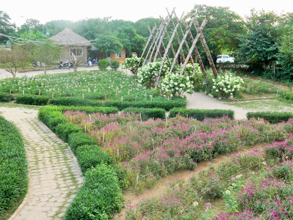 Bãi đá sông Hồng - điểm chụp ảnh hấp dẫn cho những ngày đầu đông - 13 Bãi đá sông Hồng là một địa điểm không thể bỏ qua. Tuy nhiên, nếu có thời gian, bạn nên sắp xếp đến vào những ngày thường để tránh tình trạng tắc nghẽn, quá đông người đến chụp ảnh vào ngày cuối tuần.