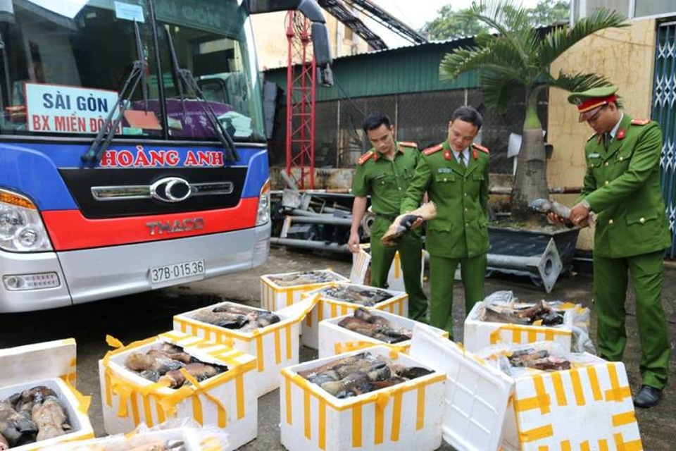 Bắt xe khách chở hơn 1 tấn chân, đuôi trâu bò không nguồn gốc - 2 Hiện lực lượng chức năng đã lập biên bản, tiêu hủy số hàng trên