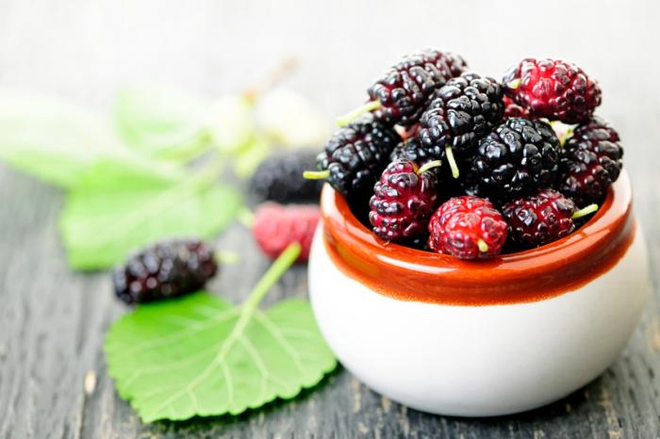 Dâu tằm có khả năng hỗ trợ giảm cân cho người béo phì - 1
Rutin - một chất tự nhiên được tìm thấy trong dâu tằm có thể hỗ trợ điều trị béo phì.