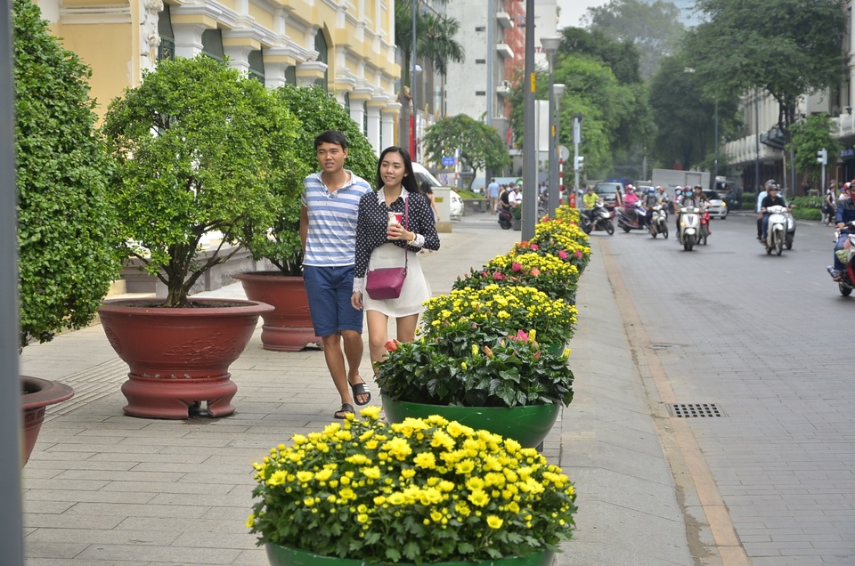 Sắc Xuân tràn ngập trên thành phố mang tên Bác - 10 Những chậu hoa cúc vàng rực trên đường Lê Thánh Tôn trước UBND TP