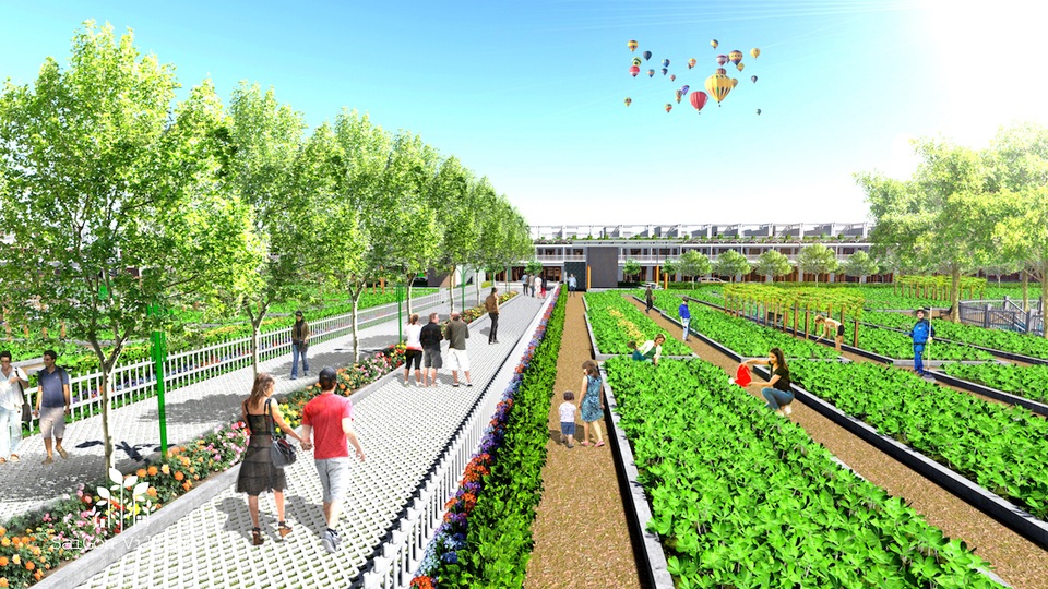 Thị trường bất động sản phía Nam tăng tốc để đón Tết - 3 SaiGon Village thu hút sự chú ý bằng ý tưởng công viên vườn rau sạch rộng 11.054 m2 phân bố nhiều loại thực phẩm, rau quả khác nhau