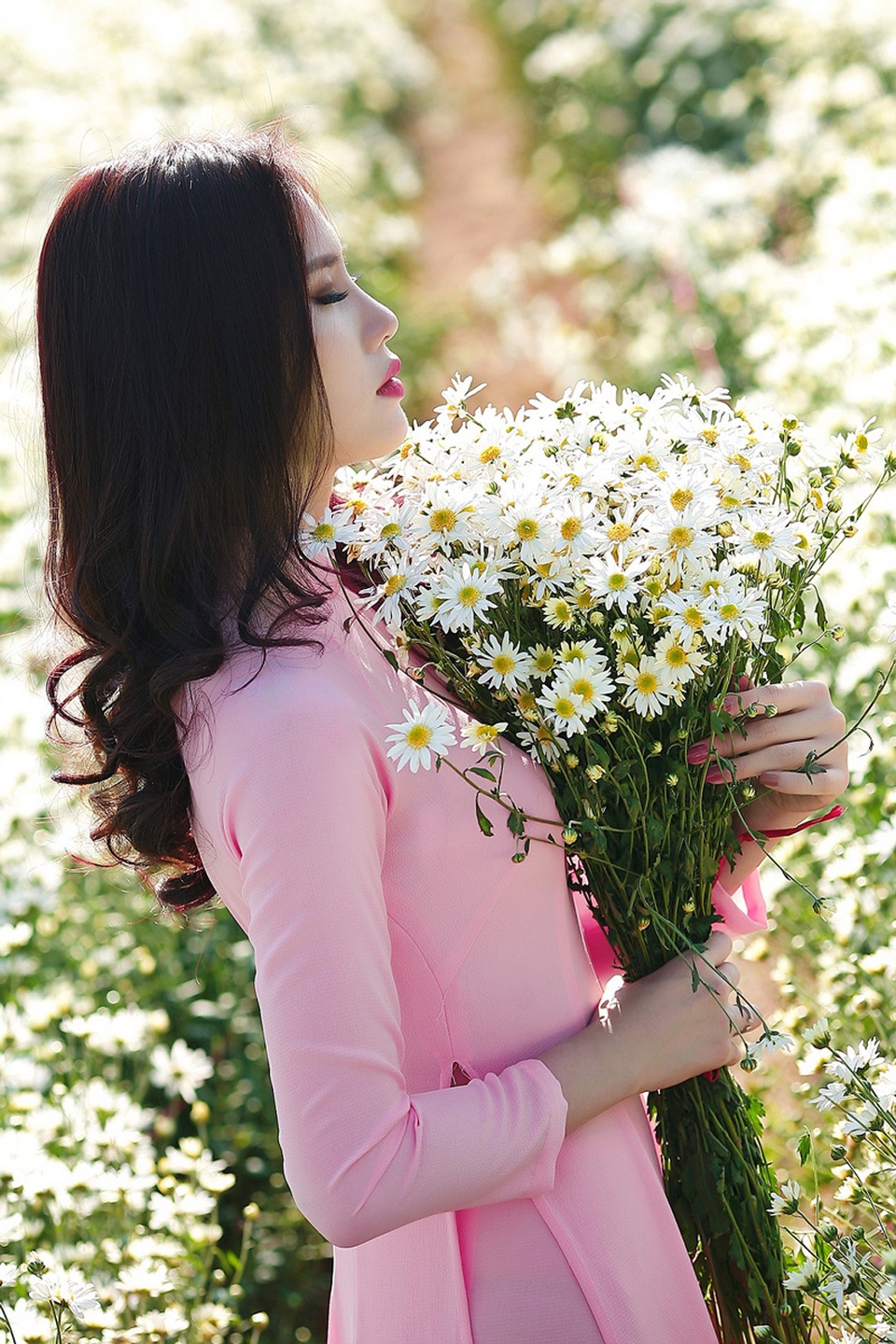 Người đẹp Hà thành khoe sắc bên cúc họa mi cuối mùa - 2 Người đẹp Hà thành khoe sắc bên cúc họa mi cuối mùa - 2