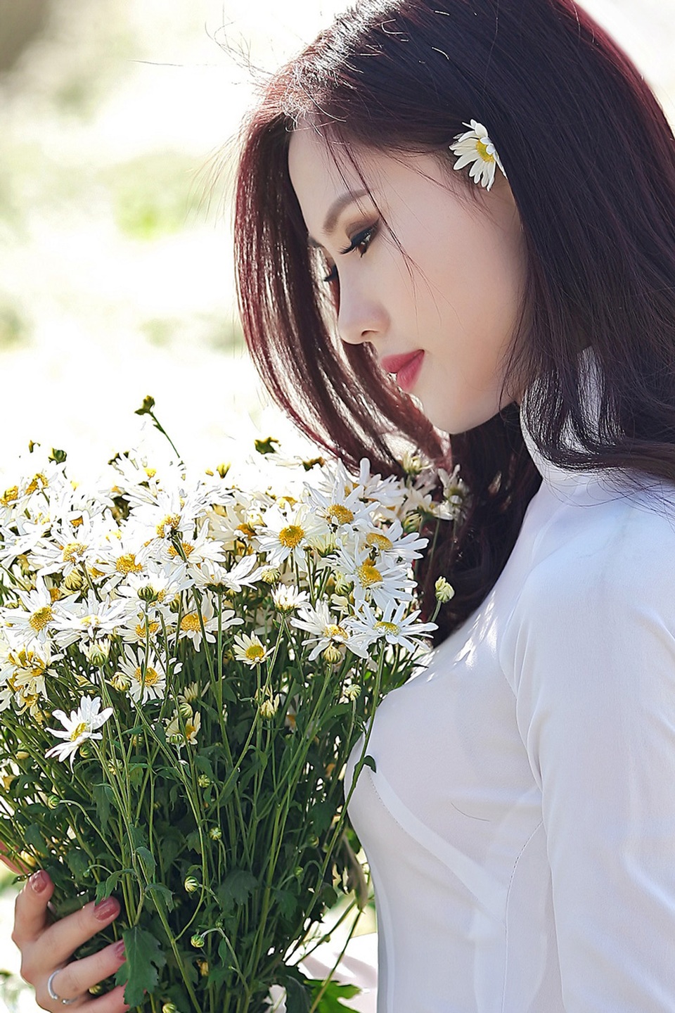 Người đẹp Hà thành khoe sắc bên cúc họa mi cuối mùa - 7 Người đẹp Hà thành khoe sắc bên cúc họa mi cuối mùa - 7