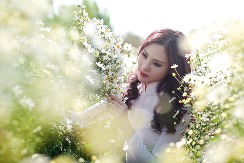 Người đẹp Hà thành khoe sắc bên cúc họa mi cuối mùa - 8 Người đẹp Hà thành khoe sắc bên cúc họa mi cuối mùa - 8