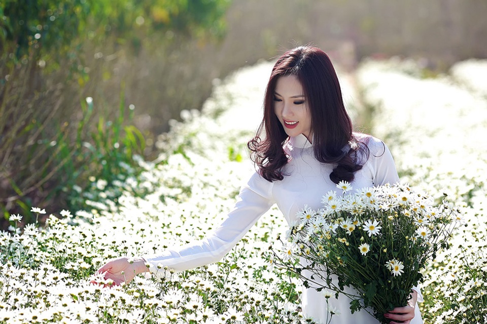 Người đẹp Hà thành khoe sắc bên cúc họa mi cuối mùa - 9 Người đẹp Hà thành khoe sắc bên cúc họa mi cuối mùa - 9