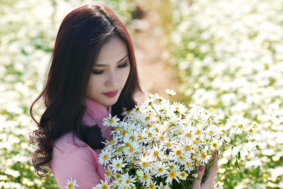 Người đẹp Hà thành khoe sắc bên cúc họa mi cuối mùa - 1 Người đẹp Hà thành khoe sắc bên cúc họa mi cuối mùa - 1