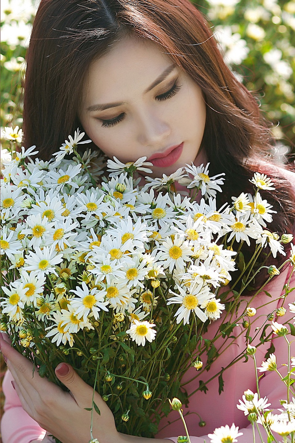 Người đẹp Hà thành khoe sắc bên cúc họa mi cuối mùa - 3 Người đẹp Hà thành khoe sắc bên cúc họa mi cuối mùa - 3