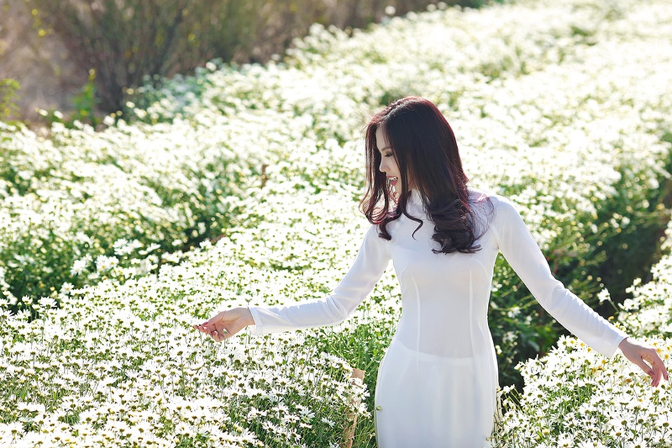 Người đẹp Hà thành khoe sắc bên cúc họa mi cuối mùa - 12 Người đẹp Hà thành khoe sắc bên cúc họa mi cuối mùa - 12