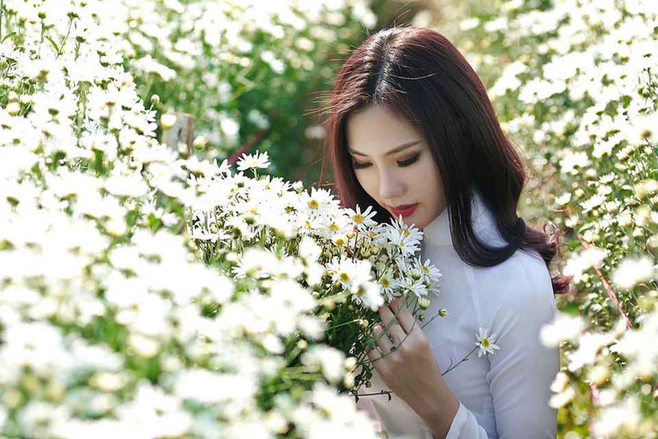 Người đẹp Hà thành khoe sắc bên cúc họa mi cuối mùa - 15 Người đẹp Hà thành khoe sắc bên cúc họa mi cuối mùa - 15