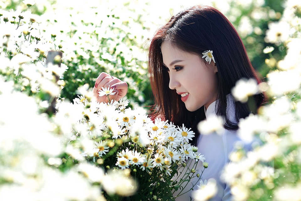 Người đẹp Hà thành khoe sắc bên cúc họa mi cuối mùa - 14 Người đẹp Hà thành khoe sắc bên cúc họa mi cuối mùa - 14