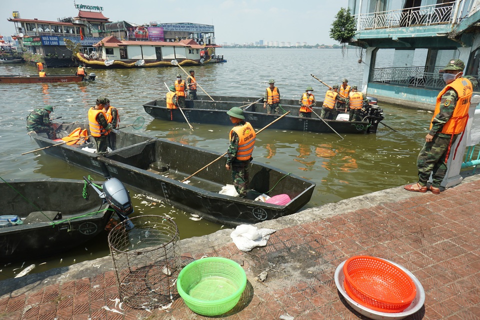 Cá chết giảm, người dân trở lại hồ Tây tập thể dục - 3
Một ngày trước, sau khi thành phố huy động nhiều đơn vị chức năng vào cuộc ứng phó, lực lượng quân đội cũng tham gia vớt cá.