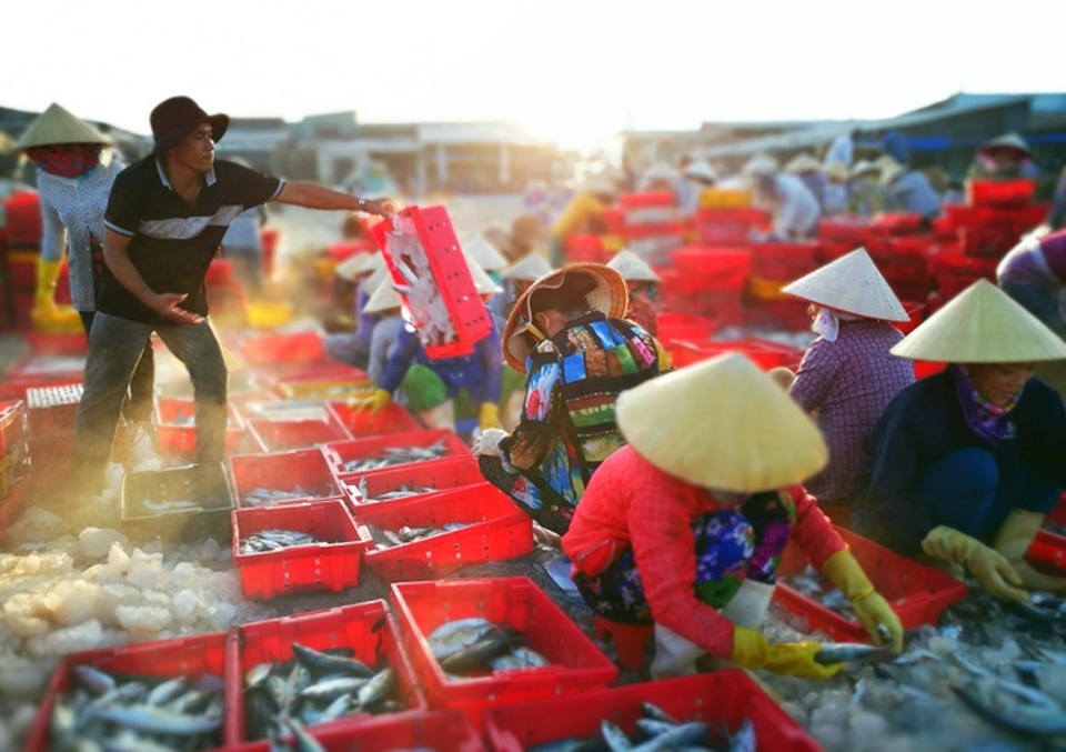 Dấu hiệu của bình minh có lẽ là nhịp sống bận rộn nơi các chợ cá ven biển. Tiếng nói cười, tiếng rao bán hoà lẫn cùng mùi vị đặc trưng của cá biển, làm nên dấu ấn khó quên cho nhiều người. (Ảnh dự thi của Trần Phương).