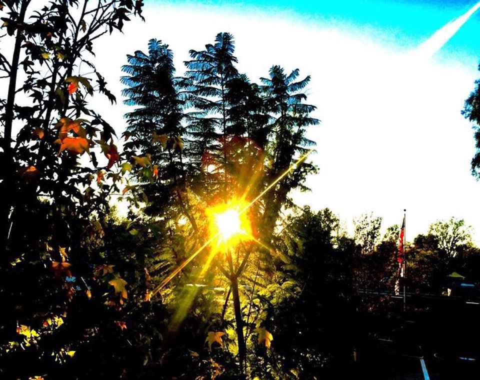 Ngắm ảnh chụp tuyệt đẹp từ iPhone của bé 13 tuổi - 19