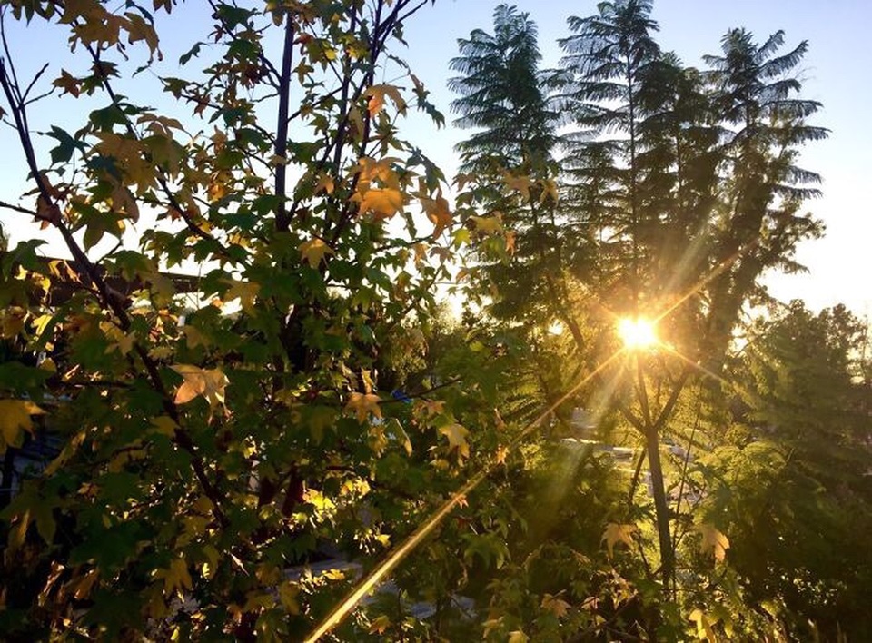 Ngắm ảnh chụp tuyệt đẹp từ iPhone của bé 13 tuổi - 20