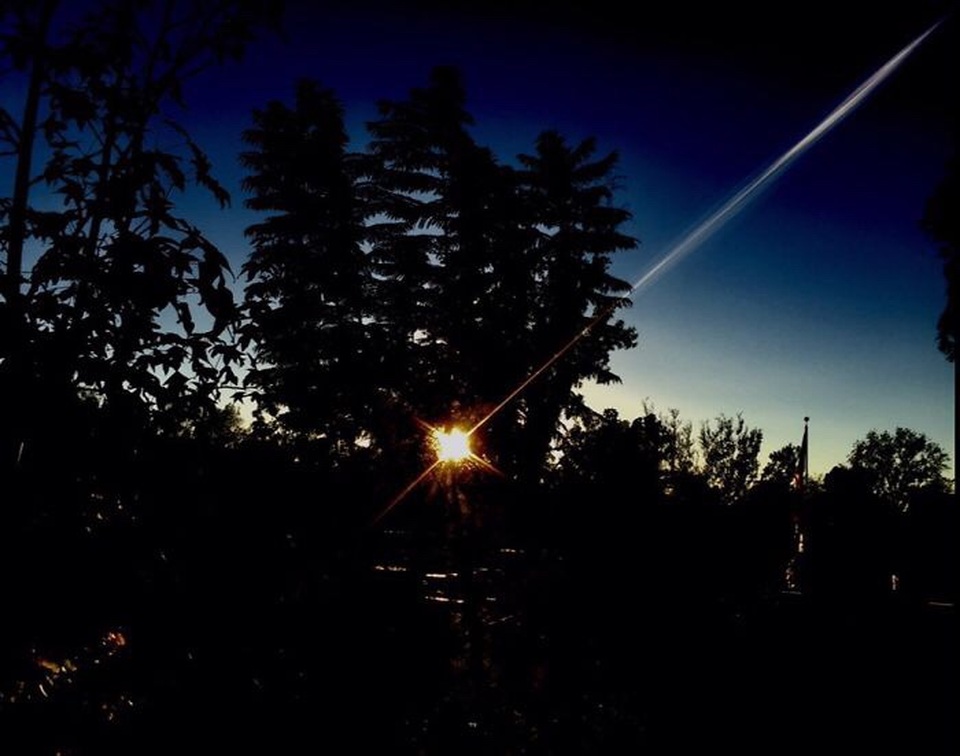 Ngắm ảnh chụp tuyệt đẹp từ iPhone của bé 13 tuổi - 22