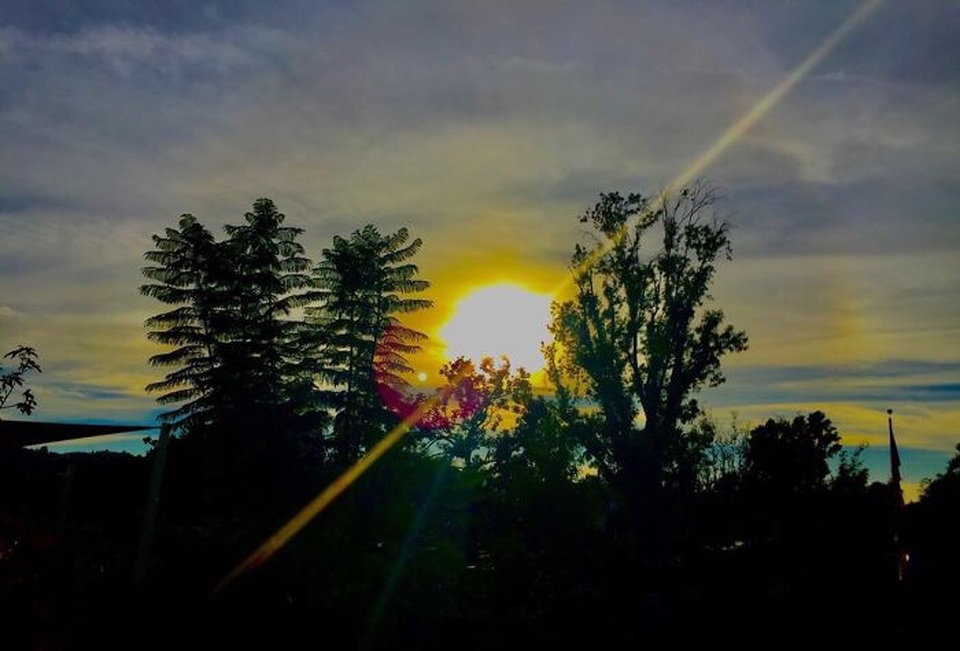 Ngắm ảnh chụp tuyệt đẹp từ iPhone của bé 13 tuổi - 24