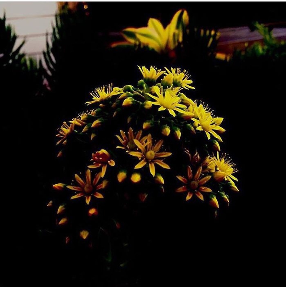 Ngắm ảnh chụp tuyệt đẹp từ iPhone của bé 13 tuổi - 27