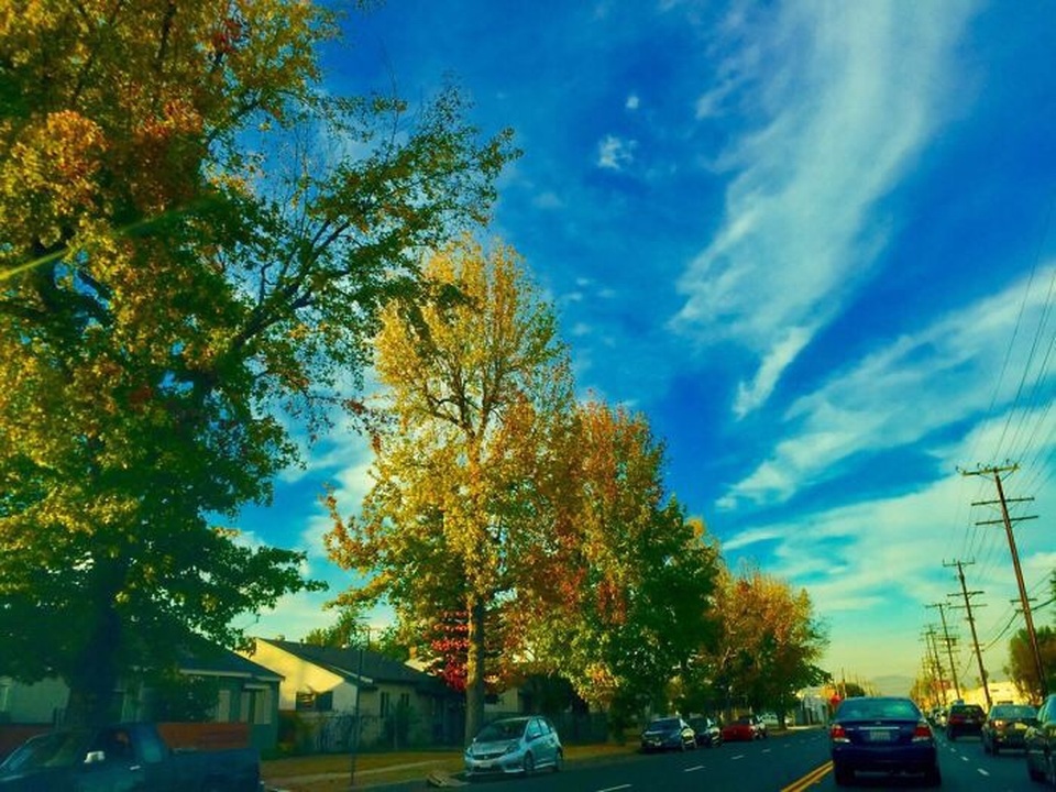 Ngắm ảnh chụp tuyệt đẹp từ iPhone của bé 13 tuổi - 4