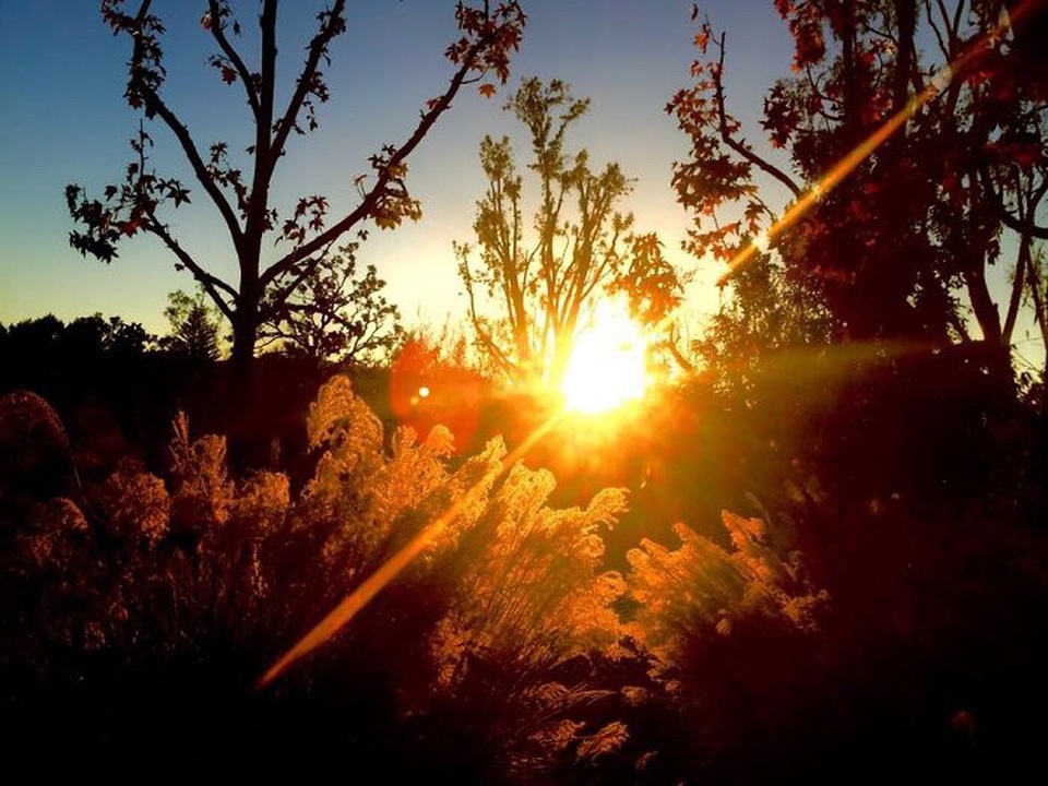 Ngắm ảnh chụp tuyệt đẹp từ iPhone của bé 13 tuổi - 5