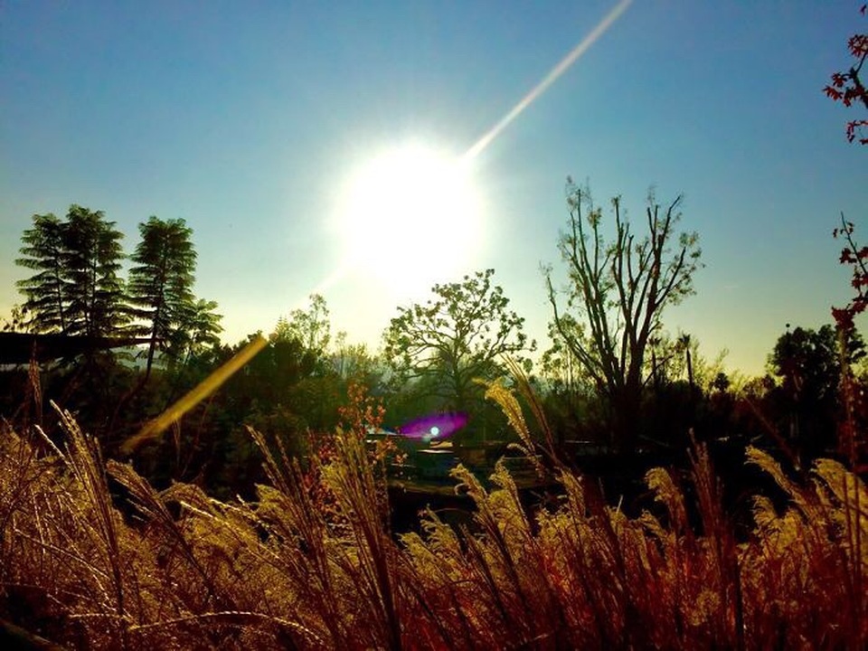 Ngắm ảnh chụp tuyệt đẹp từ iPhone của bé 13 tuổi - 6