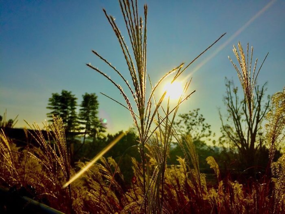 Ngắm ảnh chụp tuyệt đẹp từ iPhone của bé 13 tuổi - 10