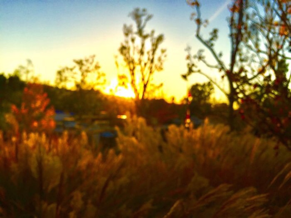 Ngắm ảnh chụp tuyệt đẹp từ iPhone của bé 13 tuổi - 11