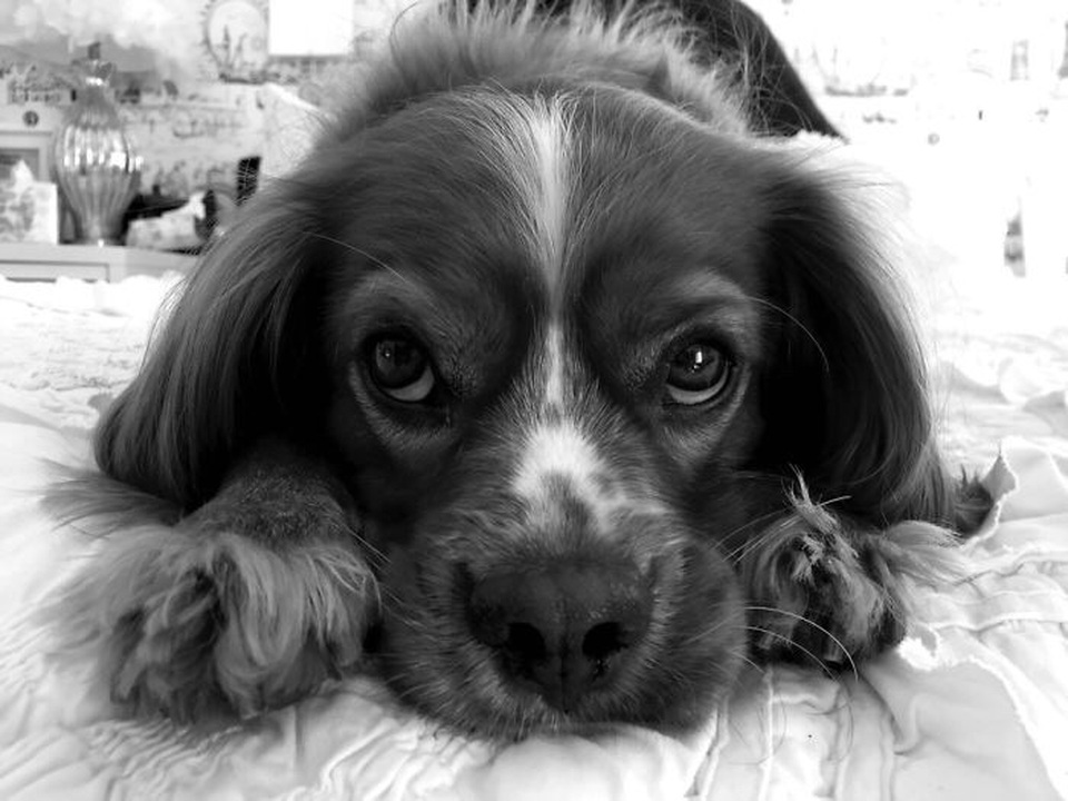 Ngắm ảnh chụp tuyệt đẹp từ iPhone của bé 13 tuổi - 14