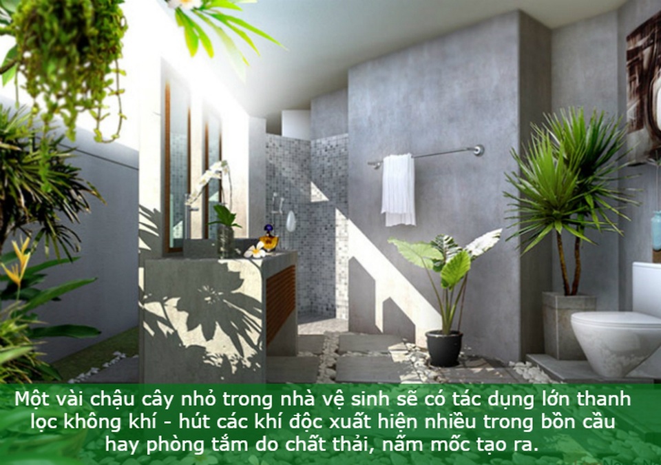 Mẹo đơn giản "đánh bay" mùi hôi bồn cầu - 1