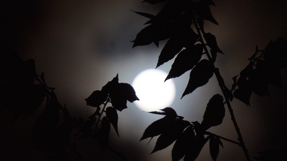 Ngắm siêu trăng trên bầu trời Sài Gòn - 13 
Hình ảnh siêu trăng tại Nghệ An. (Ảnh: Nguyễn Duy)