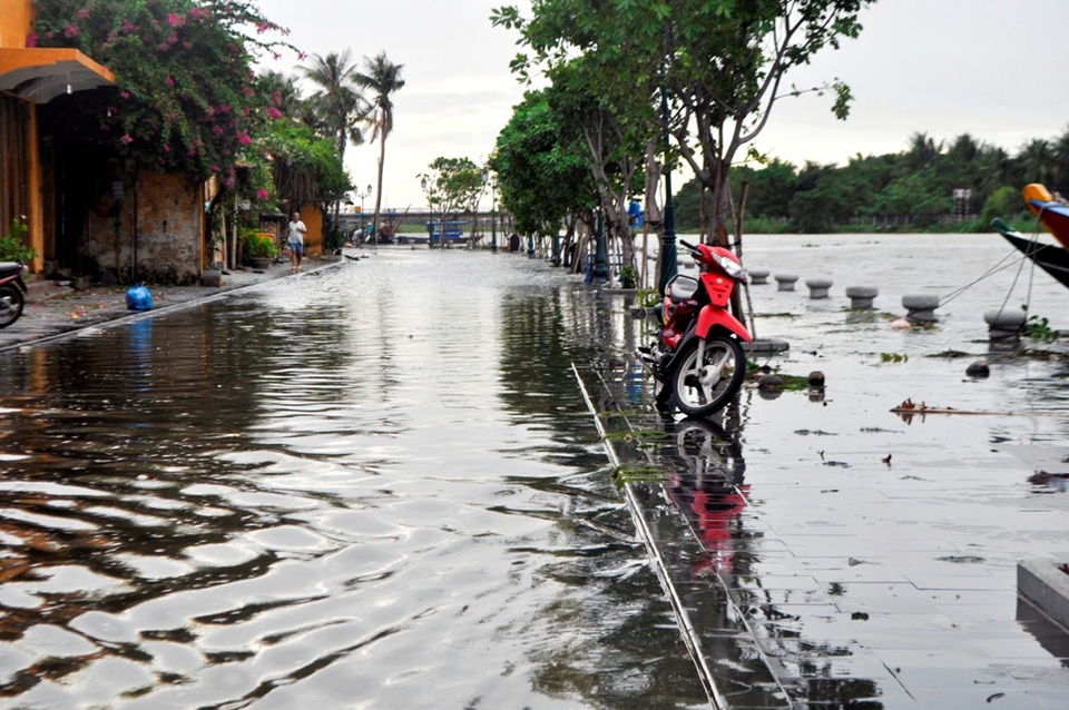 Cây đổ la liệt sau bão số 4, mưa ngập nhiều nơi - 11 Đường Bạch Đằng ven Sông Hoài bị ngập nước