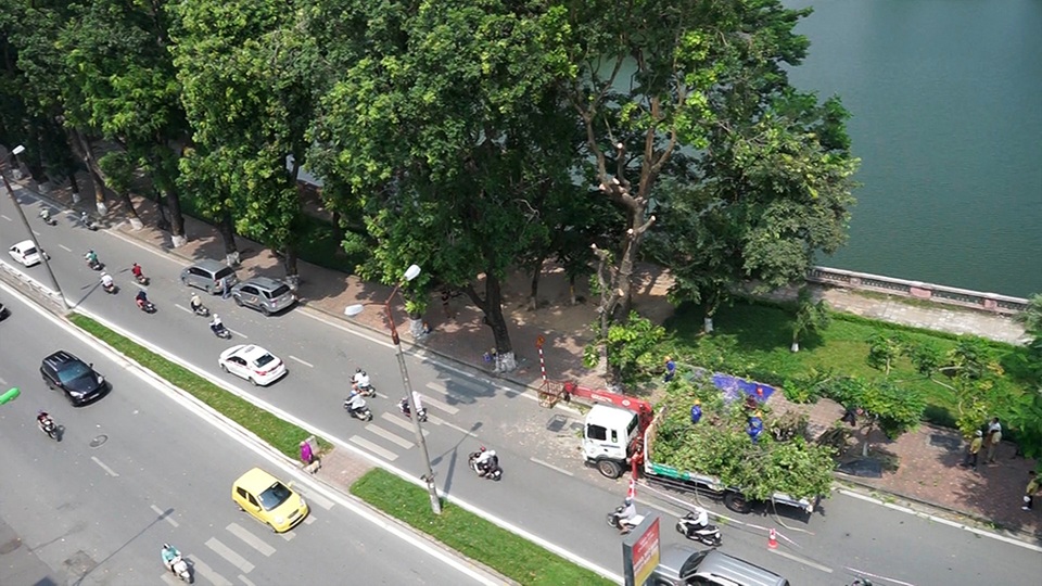 Hà Nội: Ngắm hàng cây cổ thụ bên hồ Thủ Lệ trước ngày di dời - 1
Sáng 16/9, Sở Xây dựng phối hợp với Ban quản lý đường sắt đô thị Hà Nội bắt đầu di dời cây xanh nằm trong hành lang dự án đường sắt đô thị trên cao Nhổn - Ga Hà Nội.