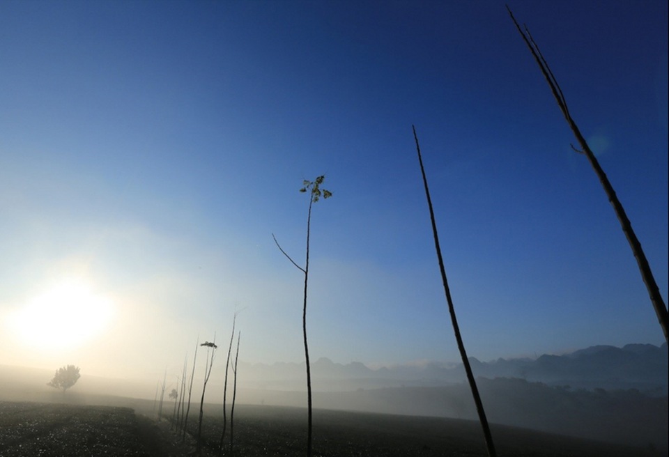 
Hình ảnh buổi sáng trên thảo nguyên đầy mê hoặc cho dân phượt và các nhà nhiếp ảnh.

