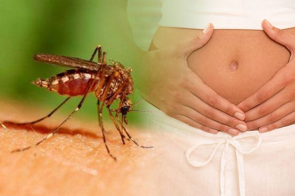Phụ nữ từng bị nhiễm Zika, sau bao lâu mới nên có thai? - 1 Phụ nữ từng bị nhiễm Zika, sau bao lâu mới nên có thai? - 1
