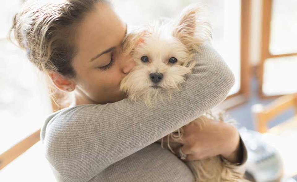 Phát khóc vì kẻ 'phá bĩnh' đêm mặn nồng của vợ chồng son - 1
Ảnh minh họa