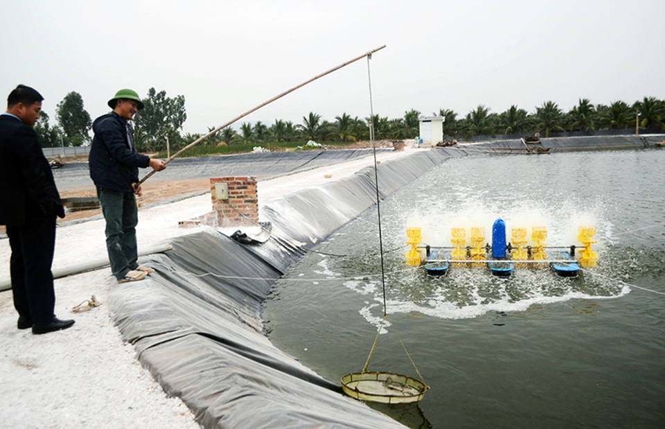 Uông Bí: Dành nguồn lực đầu tư cho nông nghiệp - 1 Uông Bí: Dành nguồn lực đầu tư cho nông nghiệp - 1