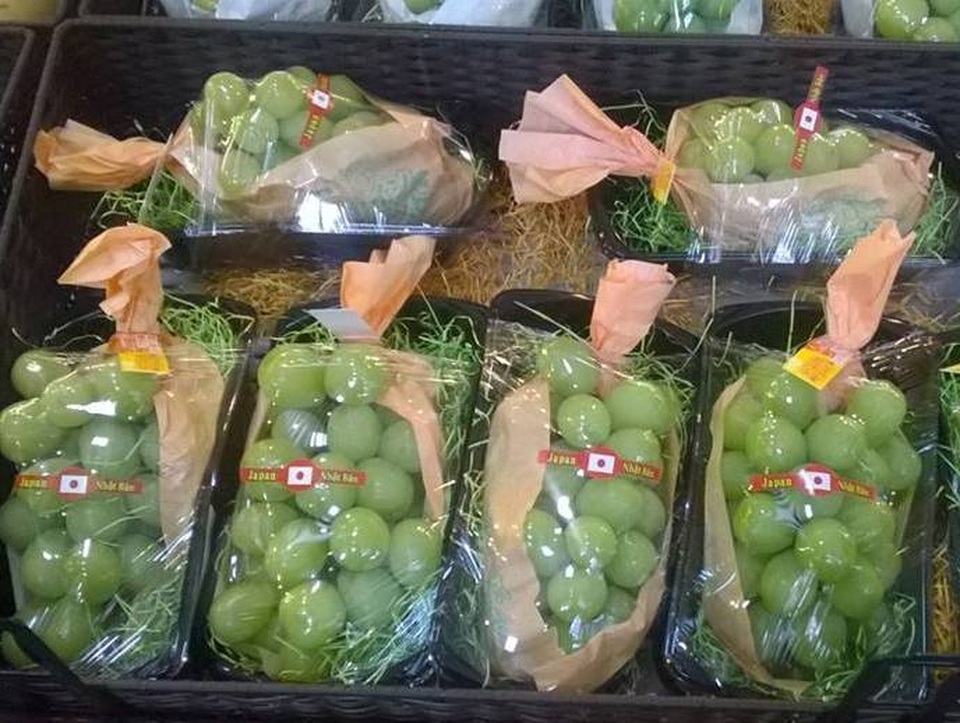 Mỹ - Úc xưa rồi, dân sành phải ăn hoa quả Nhật - Hàn - 2
Các loại hoa quả của Nhật bản và Hàn Quốc có giá khá đắt đỏ, nhiều loại còn đắt gấp 5-6 lần hàng Mỹ, Úc