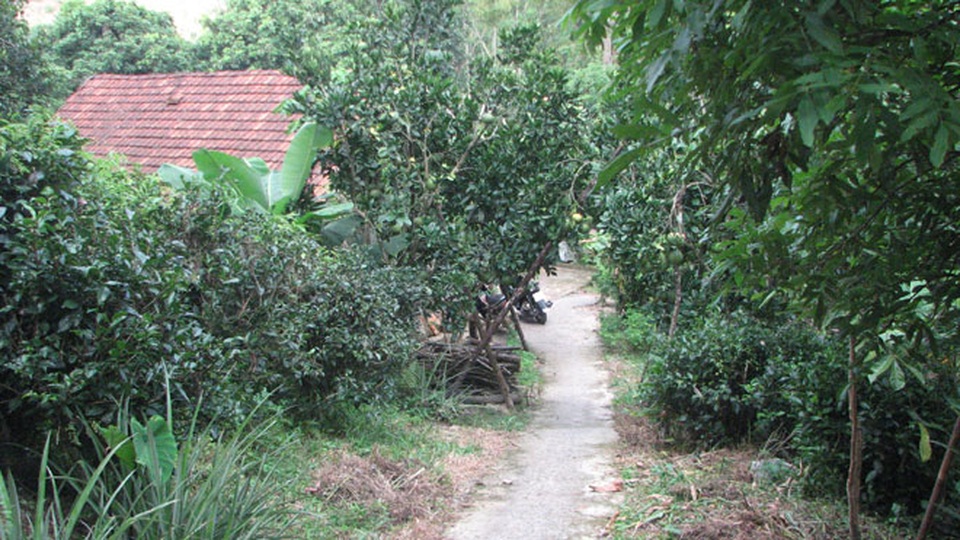 Nghịch tử ngáo đá đâm mẹ tử vong - 2 Hiện trường ngôi nhà xảy ra vụ án.