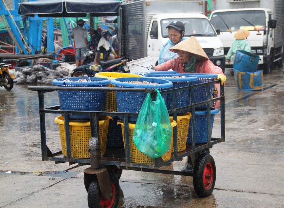 Nhiều nơi đã có mưa to do ảnh hưởng áp thấp nhiệt đới - 4 Nhiều nơi đã có mưa to do ảnh hưởng áp thấp nhiệt đới - 4